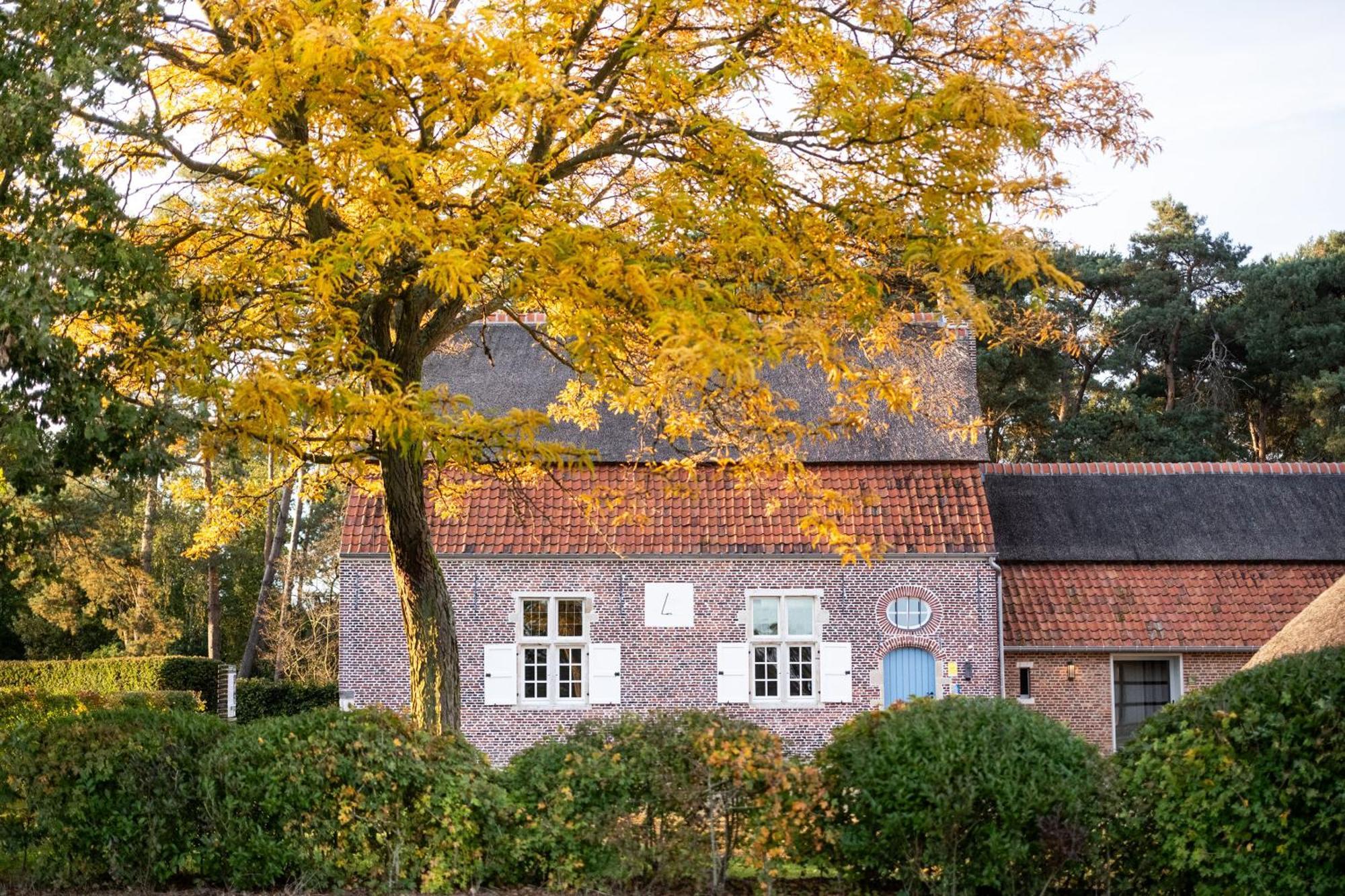 Beddermolen - Molenhuis Op Historisch Erfgoeddomein Westerlo Zewnętrze zdjęcie