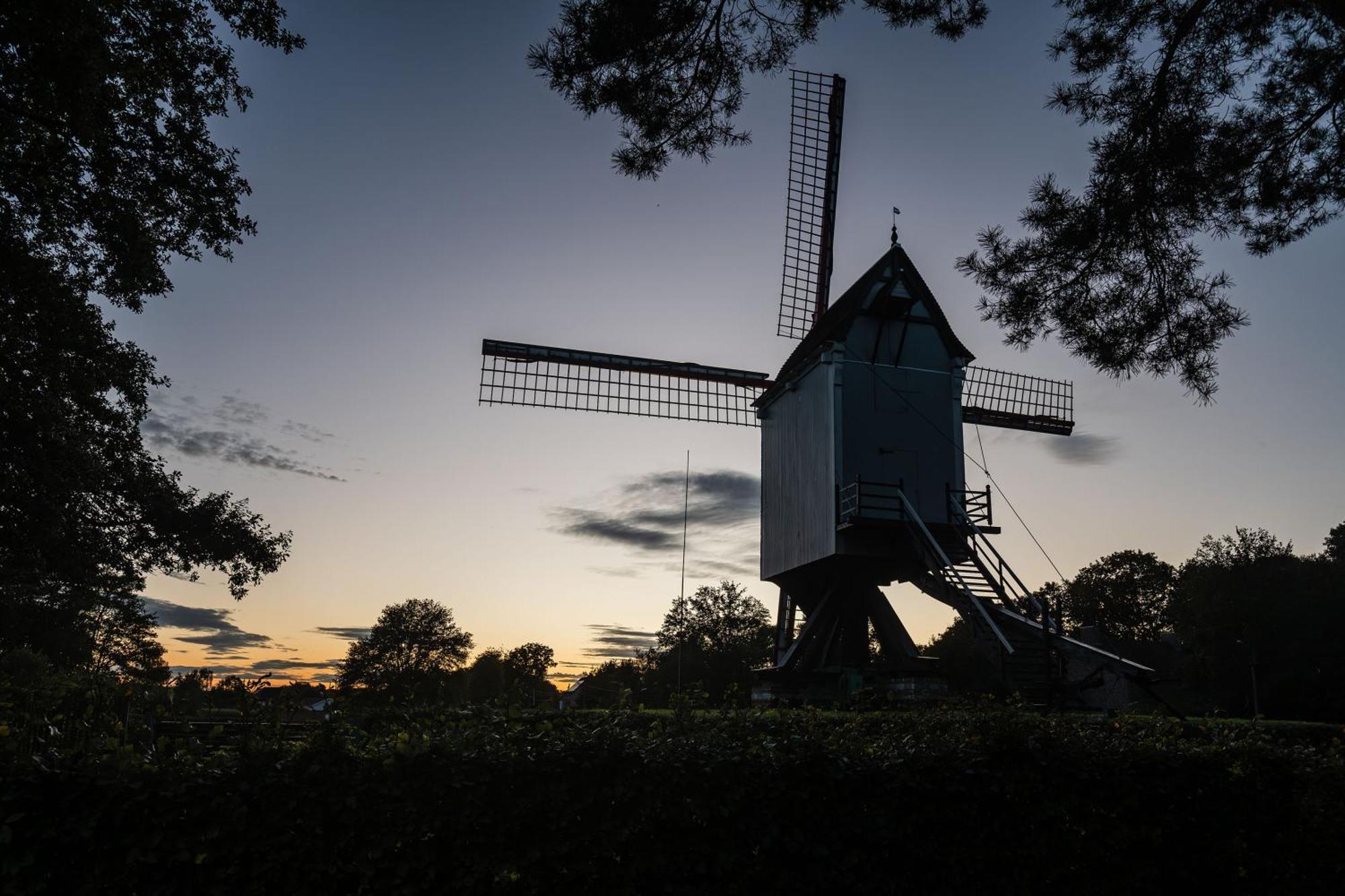 Beddermolen - Molenhuis Op Historisch Erfgoeddomein Westerlo Zewnętrze zdjęcie